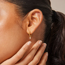 Load image into Gallery viewer, Belle Pearl Hoops