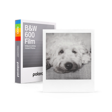 Load image into Gallery viewer, Polaroid 600 Film