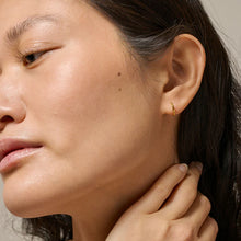 Load image into Gallery viewer, Classic 8 mm Hoops, Gold
