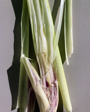 Laden Sie das Bild in den Galerie-Viewer, 112 Spülung Lemongrass 240 ml
